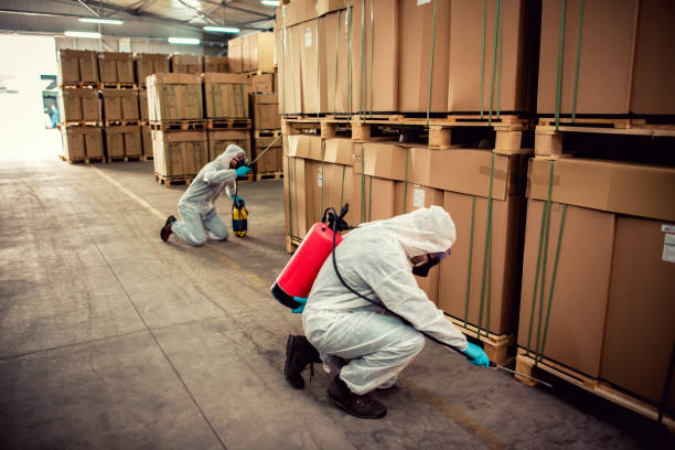 Best Best Pest Control Companies  in Vernon, TX