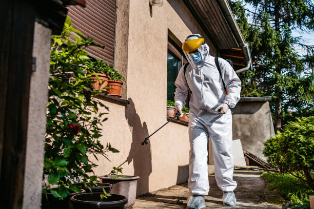 Pest Control Cost in Vernon, TX