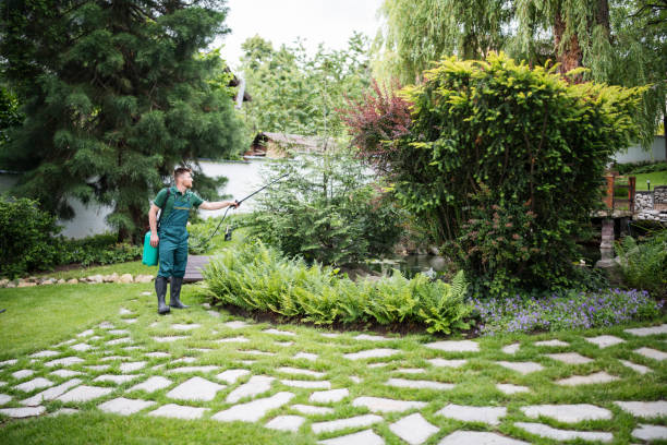Best Commercial Pest Control Services  in Vernon, TX