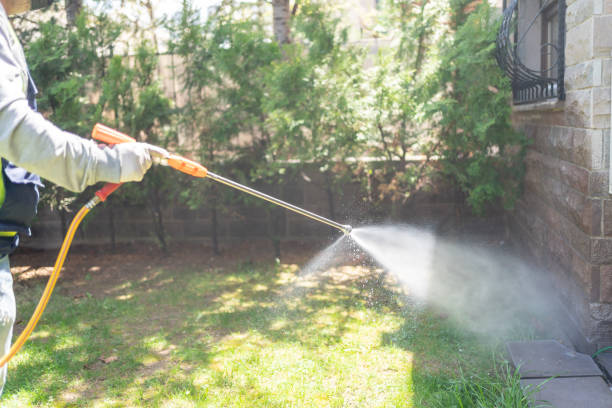 Best Best Pest Control Companies  in Vernon, TX