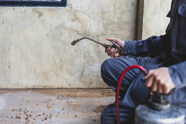 Best Pest Inspection Near Me  in Vernon, TX